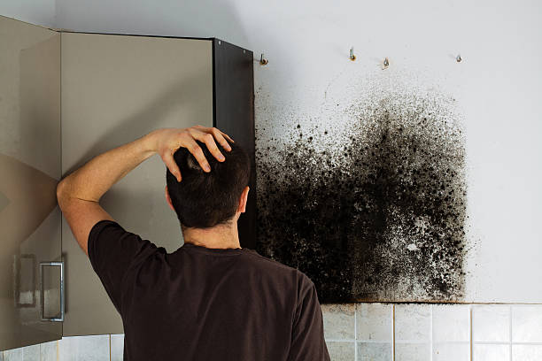 Cade, LA Mold Remediation Company